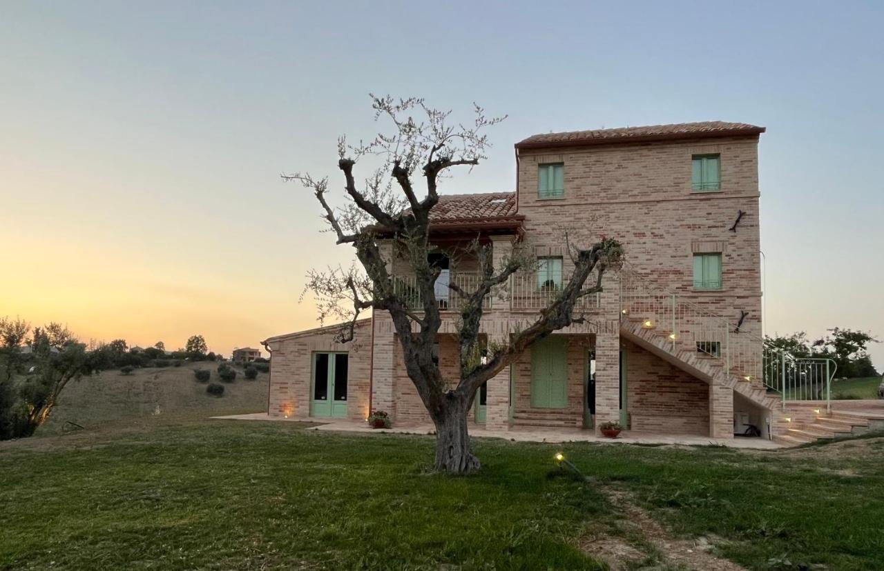 Il Casale Dei Nonni Lägenhet Grottazzolina Exteriör bild